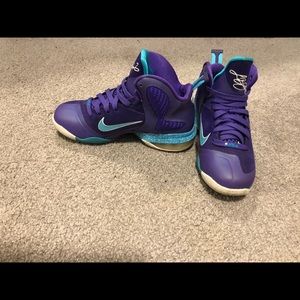 Nike Lebron Hornets